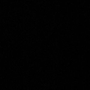 Meet your Posher, Jackson